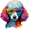 Lulu the Poodle
