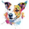 Lupin Jack russel