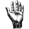 Human hand