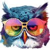 Ouzou the owl