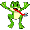 Frog fly