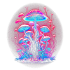 Magical Mushrooms