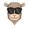cool llama with sunglasses