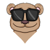 Cool brown bear with sunglasses