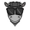 Cool donkey with sunglasses