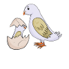 Famille d’oiseaux - Oiseau avec bébé