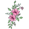 Pink prunus mume flower