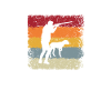 Chasse rétro
