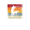 Chasse rétro