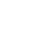 Rail Passion Train Collector