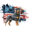 Rottweiler USA
