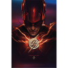 The Flash Poster With Logo