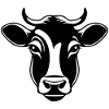 Cow Cows Cattle Farm Agriculture