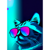 Katze mit Sonnenbrille