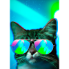 Katze mit Sonnenbrille