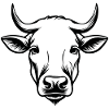 Cow Cows Cattle Farm Agriculture