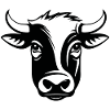 Cow Cows Cattle Farm Agriculture