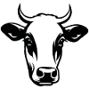 Cow Cows Cattle Farm Agriculture