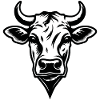 Cow Cows Cattle Farm Agriculture