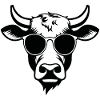 Cow Cows Cattle Farm Agriculture