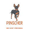 Hund Pinscher