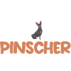 Hund Pinscher