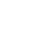 Hund Pudel