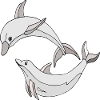 Dolphins