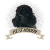 Black Poodle Best Friend