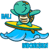 Kawaii turtle surfer, Bali Indonesia
