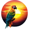 Parrot at sunset