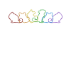 Chinchilla LGBT Rainbow Longtail Longhair