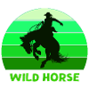 wild horse, Far West, wilderness