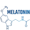 melatonin molecule