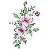 White pink flower