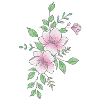 Fleur rose blanche