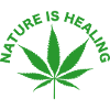 Nature is healing