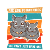 Chinchilla owner chinchillas gift