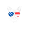 Best Cat Dad Ever