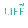 Pro Wrestling Life Show Fight