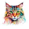 Bunte psychedelische Maine Coon Katze