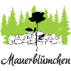 Mauerblmüchen die Schüchternheit