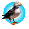 Island Lundi