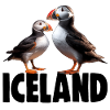 ISLAND PUFFINS