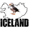 PUFFIN IN ICELAND