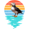 Cut Puffin in Sea
