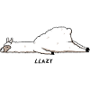 Llazy