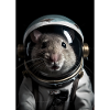 Rat Astronaut Galaxy