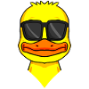 cool duck with sunglasses