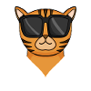 cool cat with sunglasses